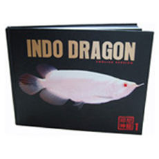 Indo Dragon