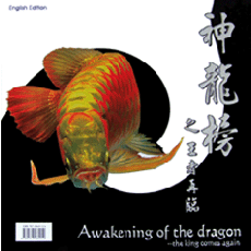 Awakening the Dragon